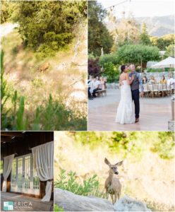 The Homestead, Oak Glen Wedding